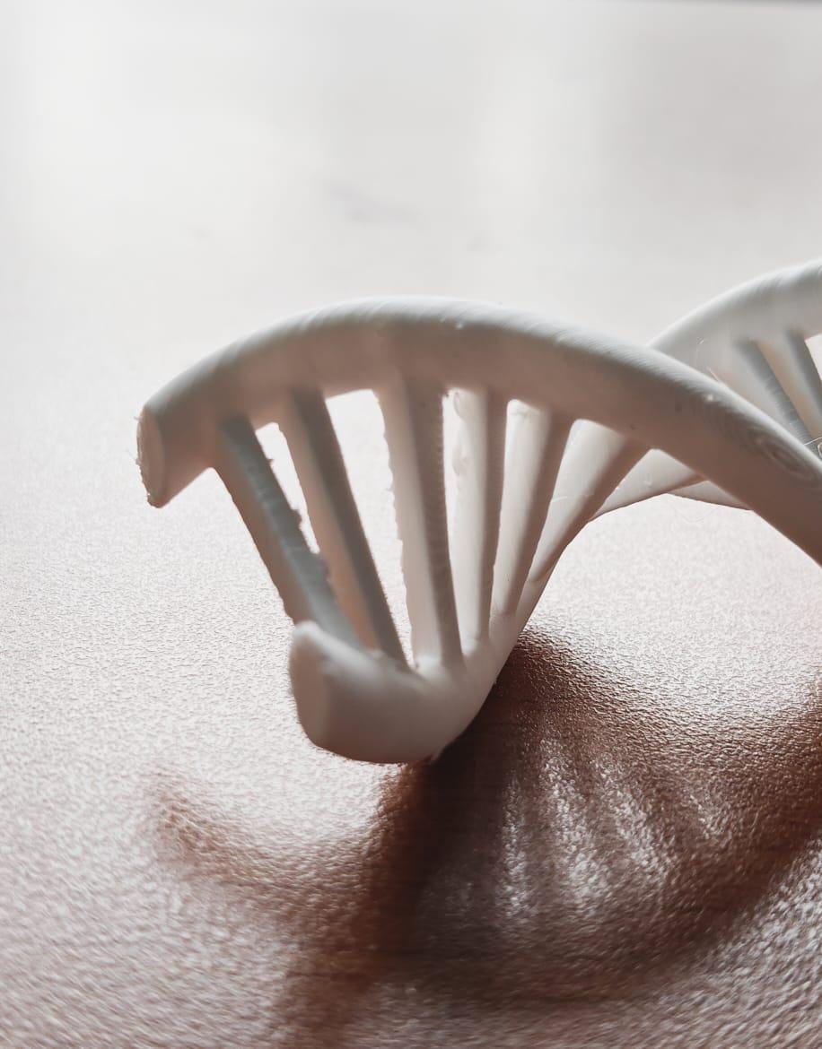 DNA Double Helix Model | Genetic Structure Sculpture | Science Lab Decor | Biology Teacher Graduation Gift