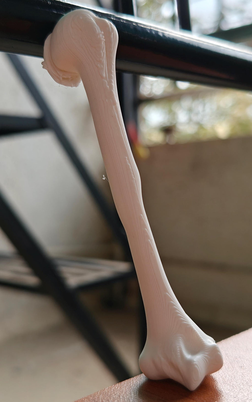 Anatomical Humerus Bone Model | Medical Study Aid, PLA+ Skeletal Anatomy (Large)