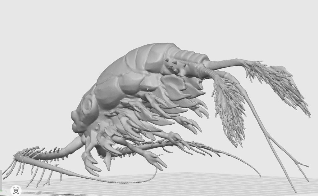 Copepod Crustacean Model | Marine Plankton Sculpture | Biology Replica | Gift for Medical