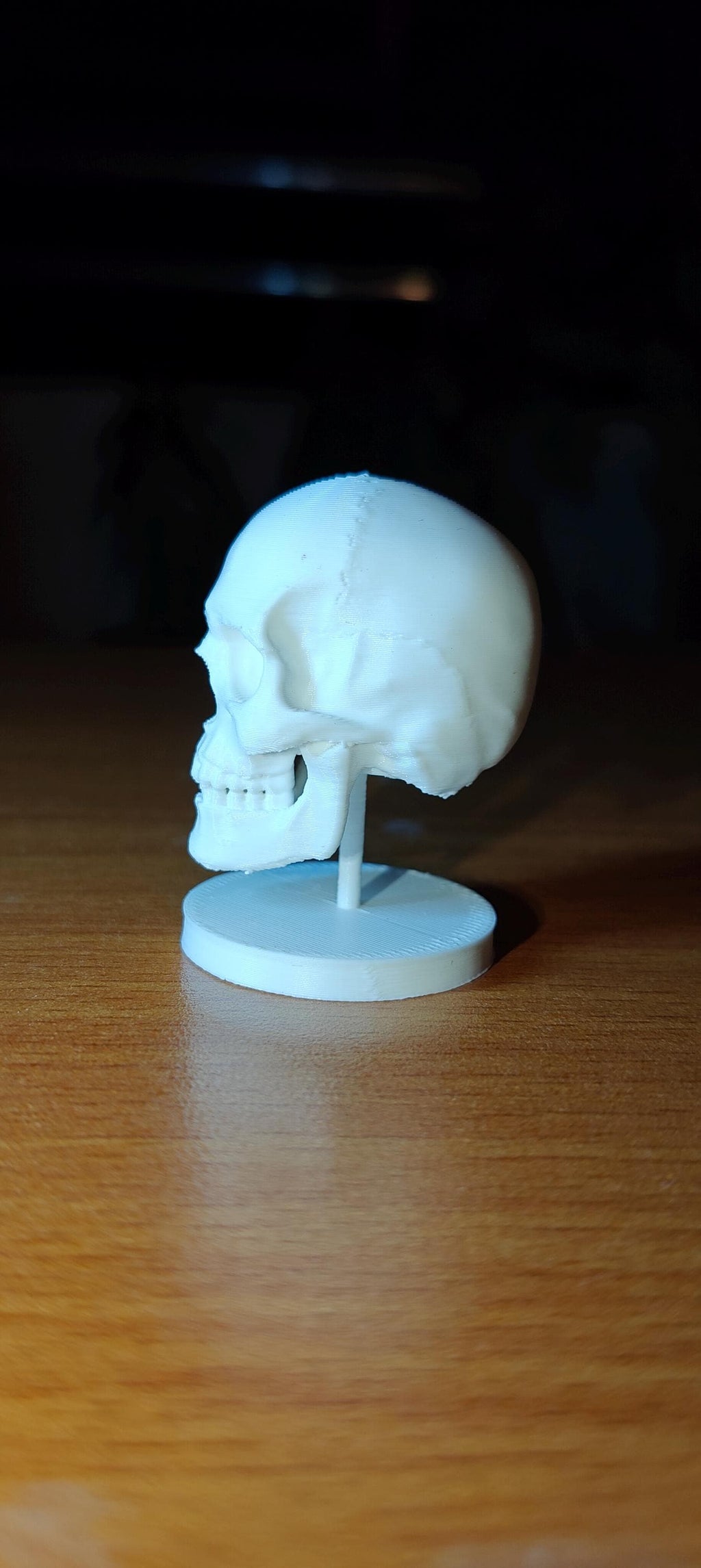 Human Skull Model | Anatomical Medical Study Replica | Life Size Skull Sculpture | Science Classroom Decor