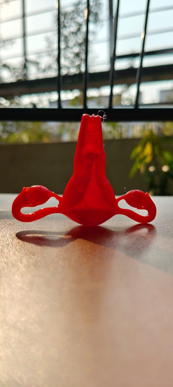 Female Reproductive System Model | Detailed Anatomy Sculpture | Women’s Health Education | Medical Student Gift