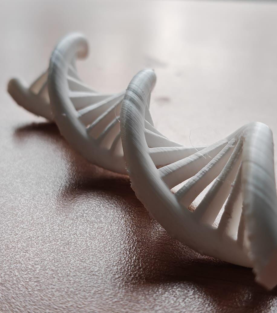 DNA Double Helix Model | Genetic Structure Sculpture | Science Lab Decor | Biology Teacher Graduation Gift