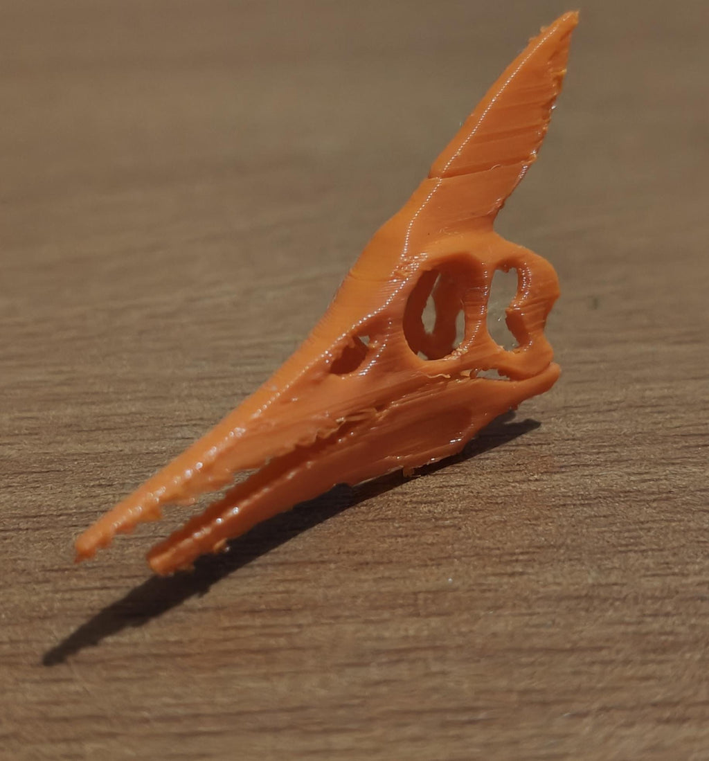 Minimalist Pteranodon Head Sculpture | Prehistoric Reptile, Museum-Style Decor