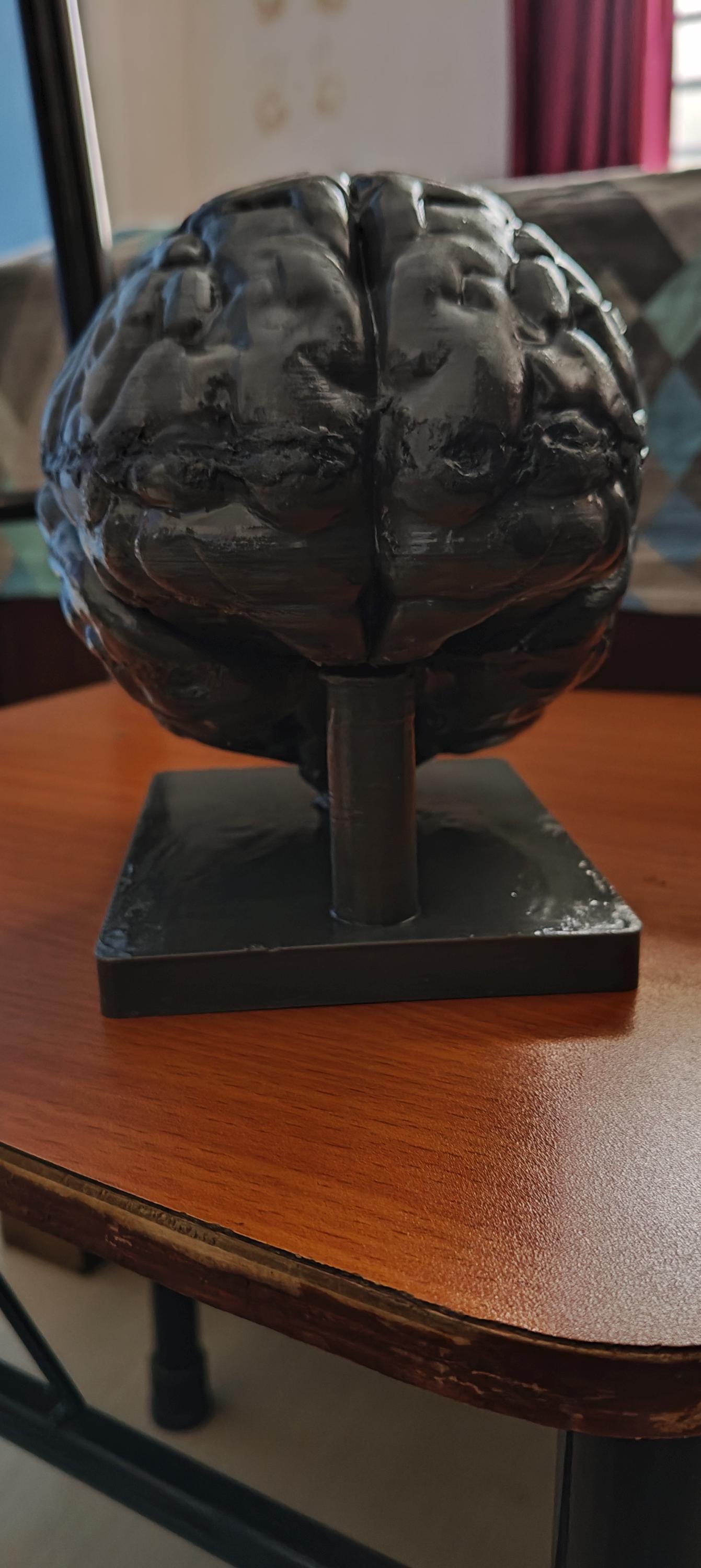 Miniature Brain Sculpture | Neuroscience Desk Decor | Psychology Gift | Educational Brain Anatomy Model