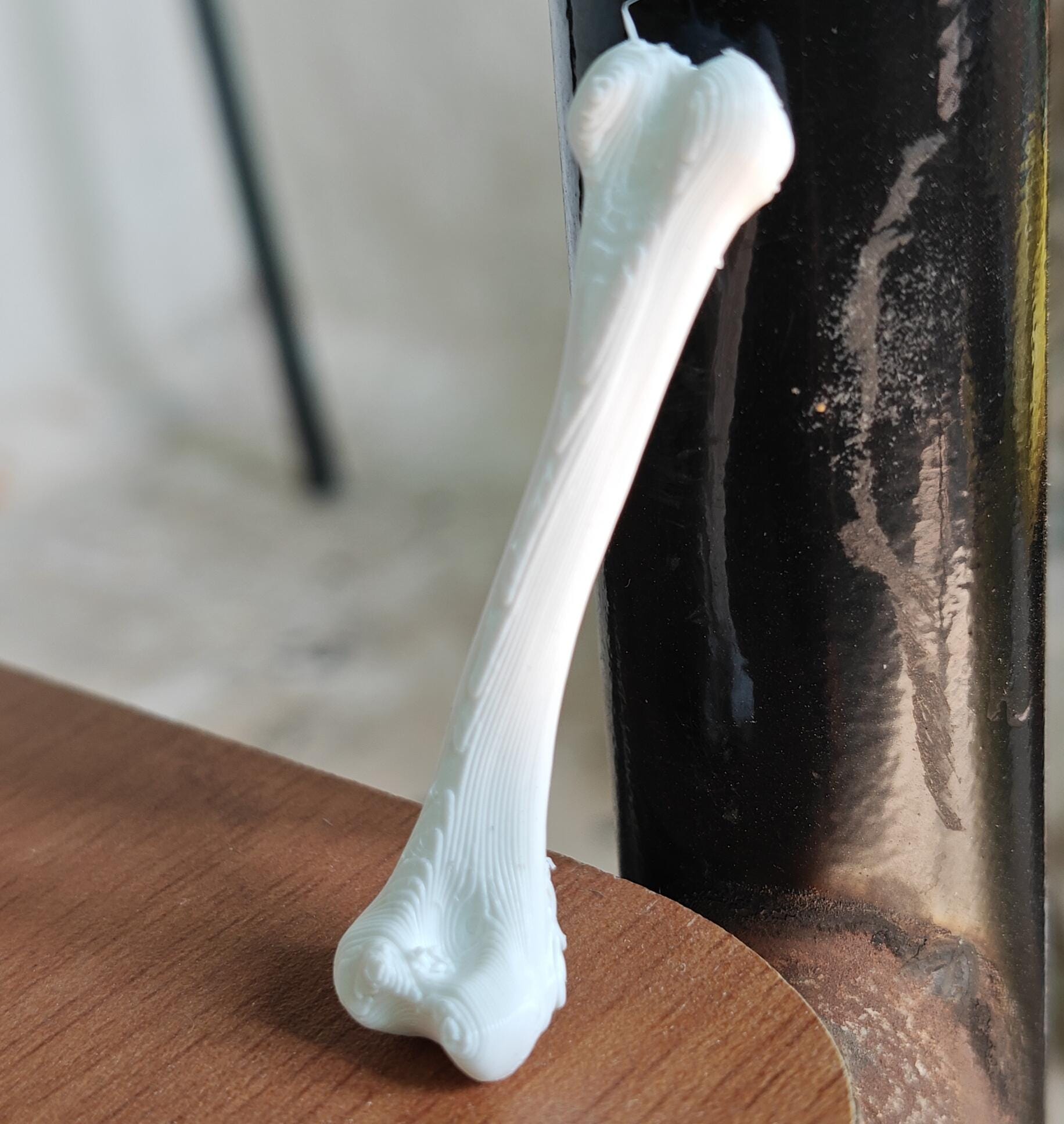 Anatomical Chicken Tibia Bone Model | Life-Size Avian Skeletal Replica, Zoology Study Aid