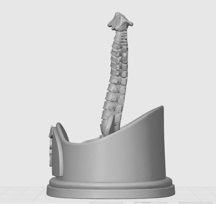 Spinal Column Business Card Holder | Chiropractor Office Decor | Spine Anatomy Desk Accessory | Orthopedic Gift