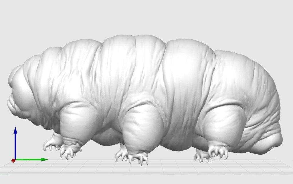 Giant Tardigrade Sculpture | Realistic Water Bear Scientific Model, 175mm Desk Art