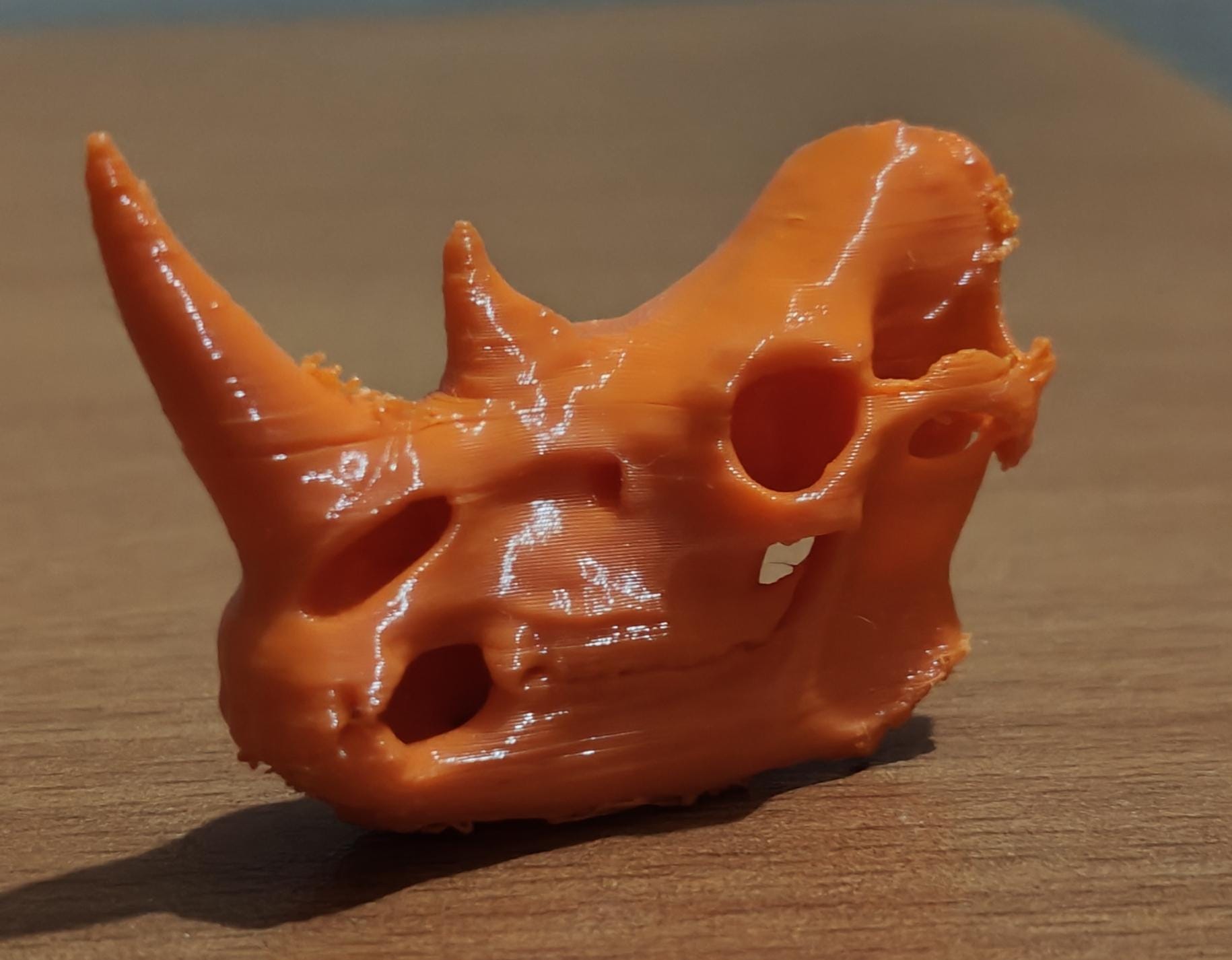Anatomical Rhinoceros Skull Replica | Fossil Display | Perissodactyl Megafauna Anatomy Model | Professional Paleontology & Zoology Decor