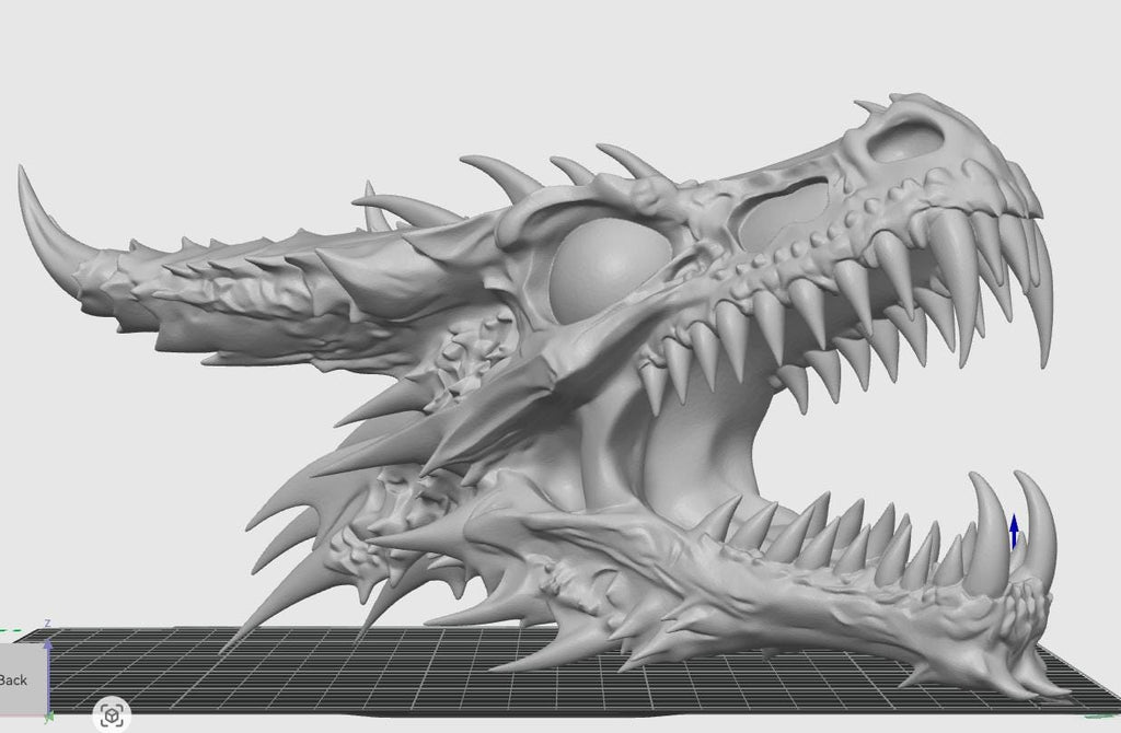 Anatomical Dragon Skull Fossil | Dragon Bone Desk Decor | D&D Fantasy Prop | Mythical Creature Skeleton