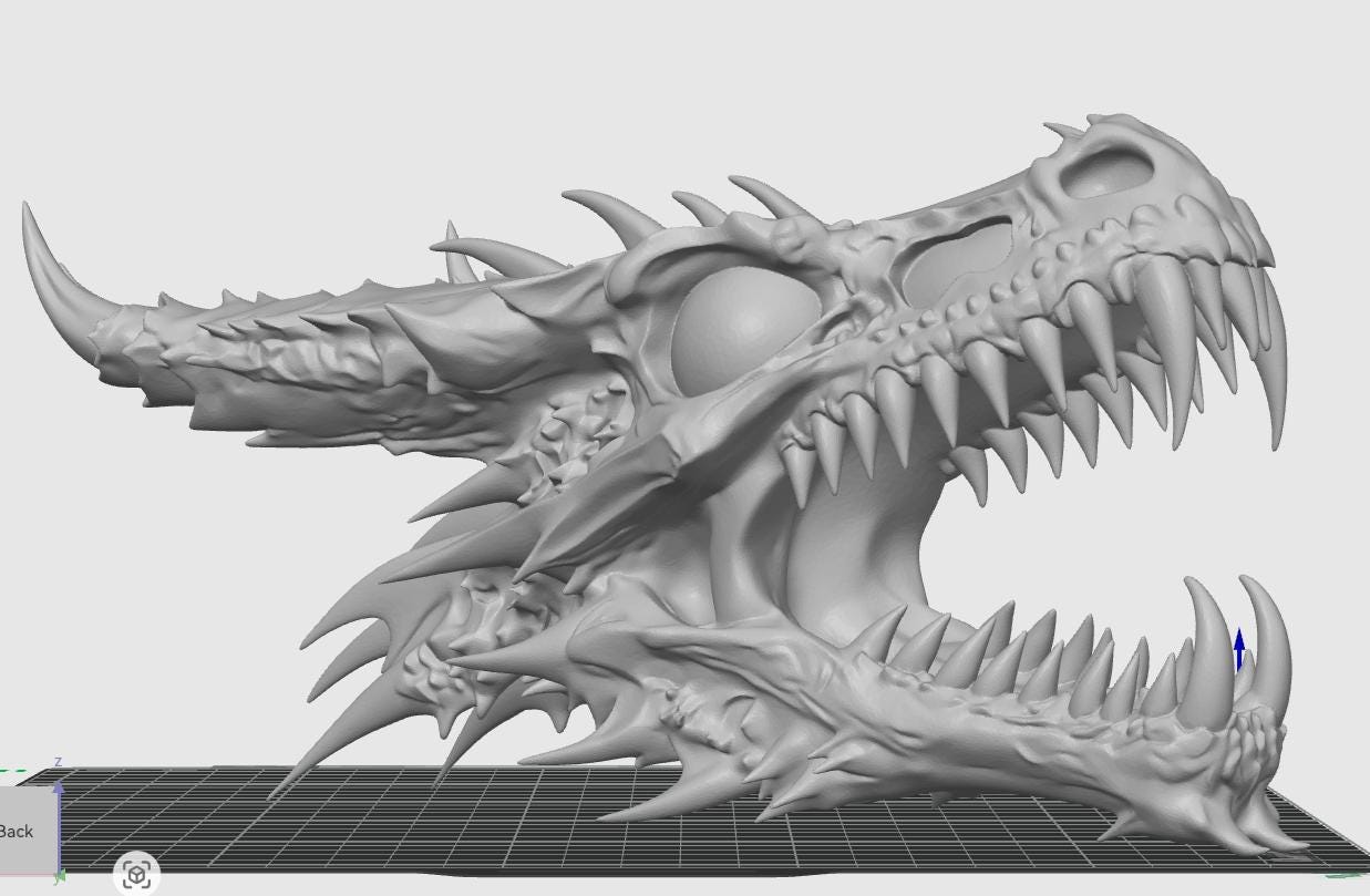 Anatomical Dragon Skull Fossil | Dragon Bone Desk Decor | D&D Fantasy Prop | Mythical Creature Skeleton