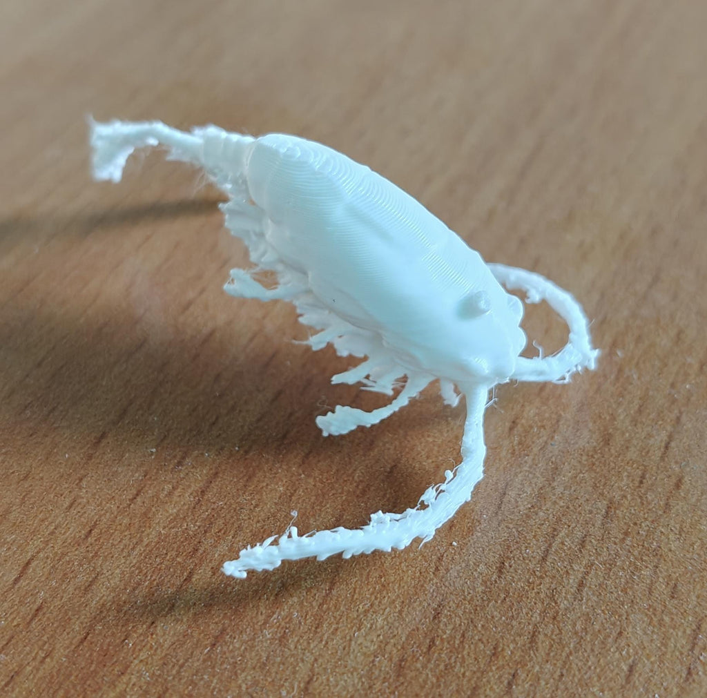 Copepod Crustacean Model | Marine Plankton Sculpture | Biology Replica | Gift for Medical