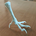 Chicken Tarsometatarsus Foot Bone Model | Avian Skeletal Replica, Study Aid