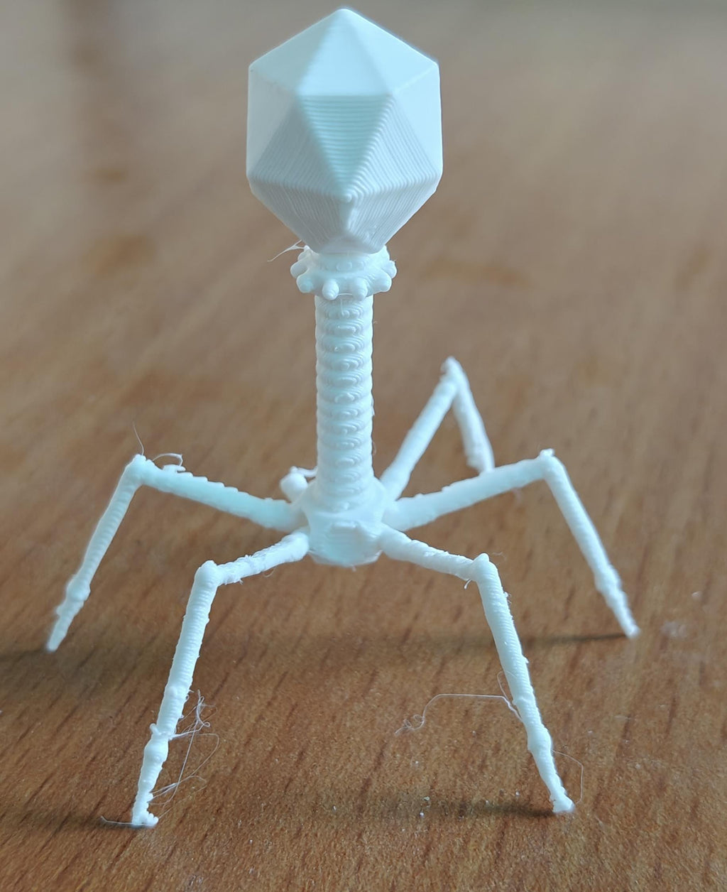 175mm Bacteriophage T4 Model | Virus Sculpture Gift