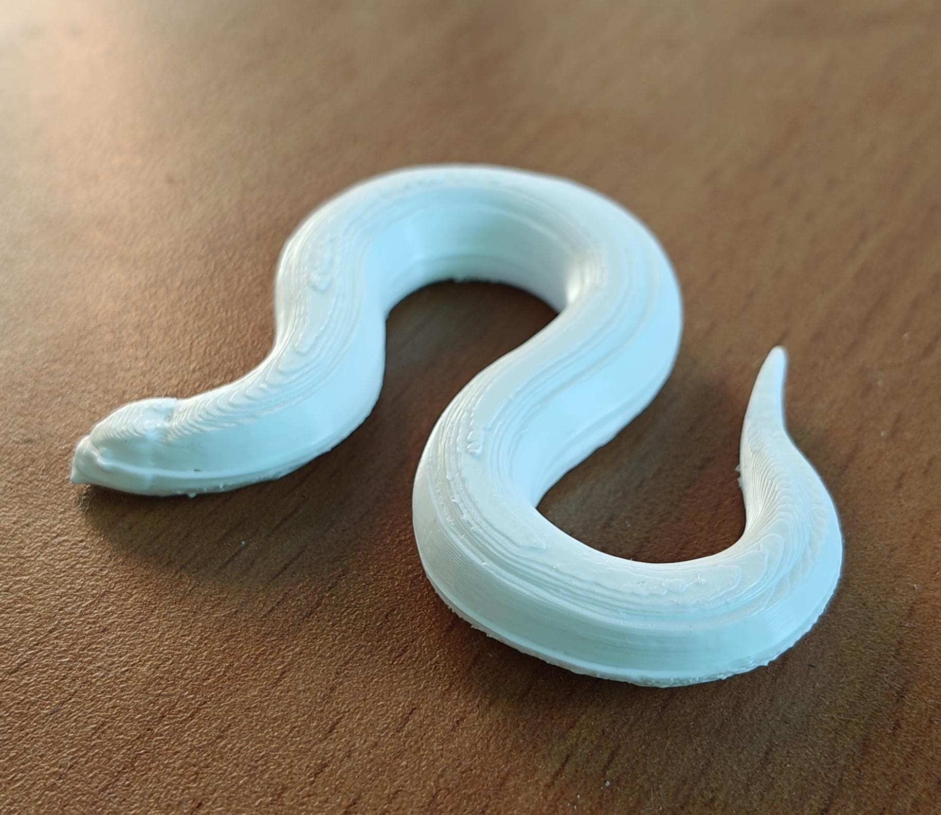 C. elegans Model | Professional Nematode Research Sculpture | Printed Biological Model | Gift for Geneticists & Neuroscientists