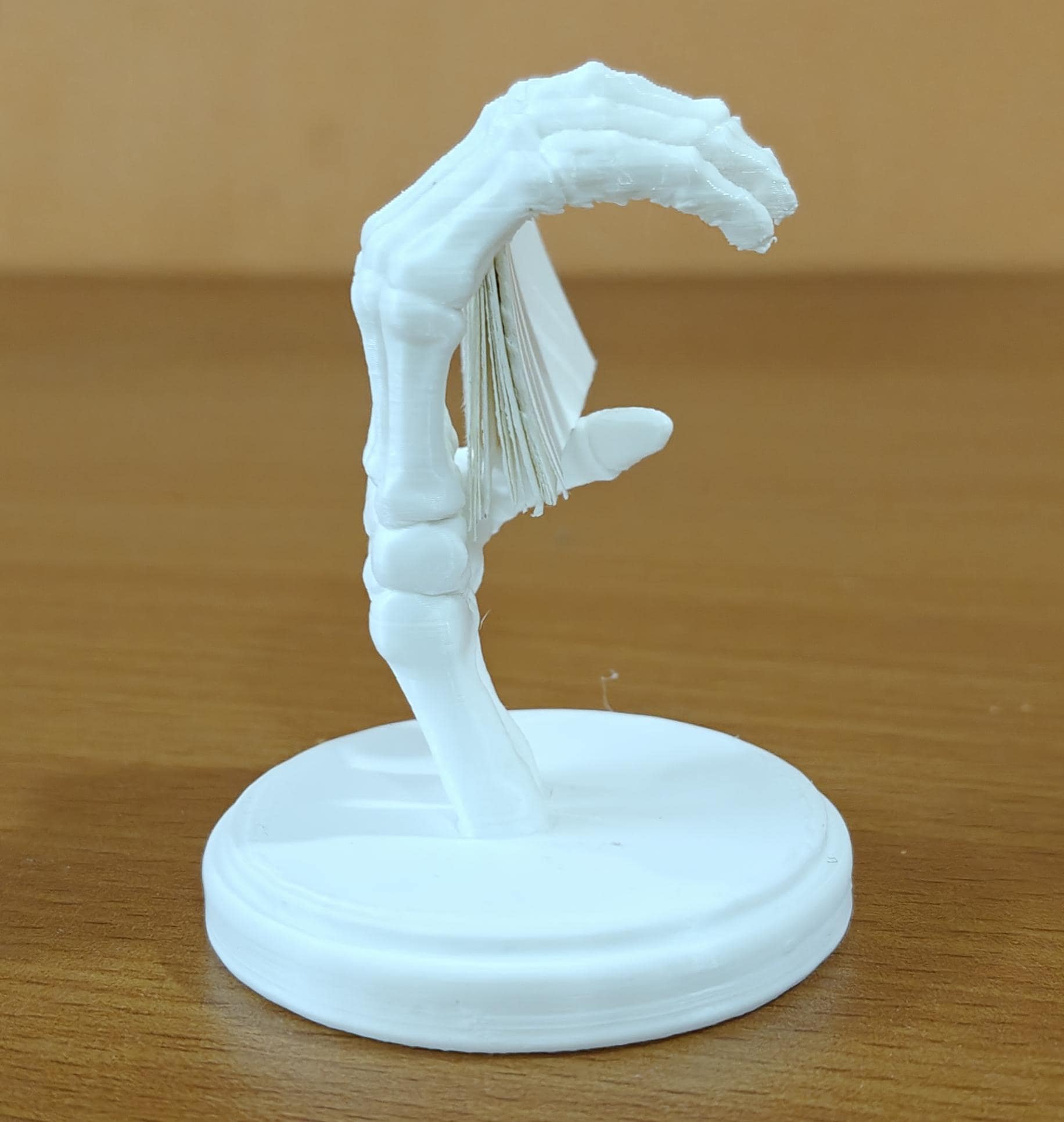 Skeleton Hand Business Card Holder | Anatomical Desk Decor, PETG/PLA+