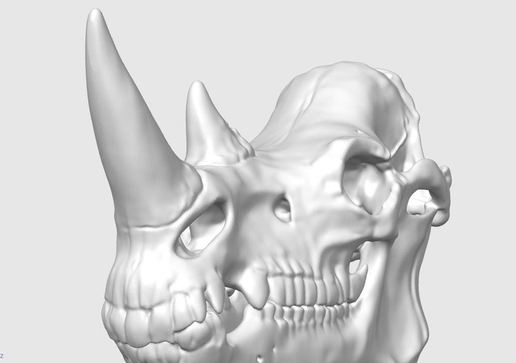 Anatomical Rhinoceros Skull Replica | Fossil Display | Perissodactyl Megafauna Anatomy Model | Professional Paleontology & Zoology Decor