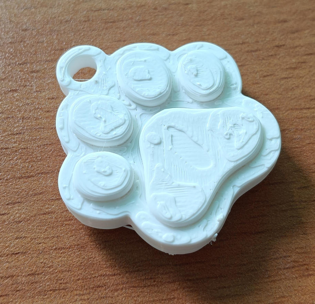 70mm Bold 3D Paw Print Keychain | Pet Lover Memorial Bag Tag | PLA Sculpture