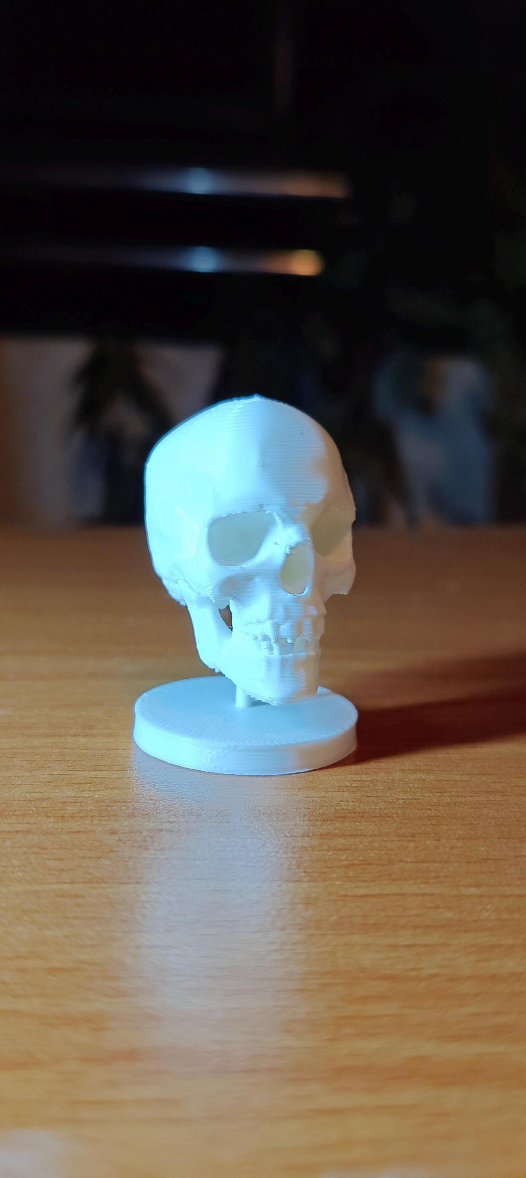 Human Skull Model | Anatomical Medical Study Replica | Life Size Skull Sculpture | Science Classroom Decor