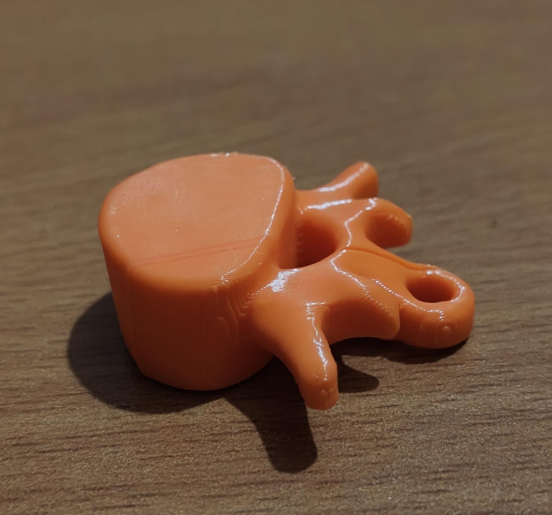 Anatomical Lumbar Vertebrae Keychain | Realistic Human Bone Sculpture (70mm)