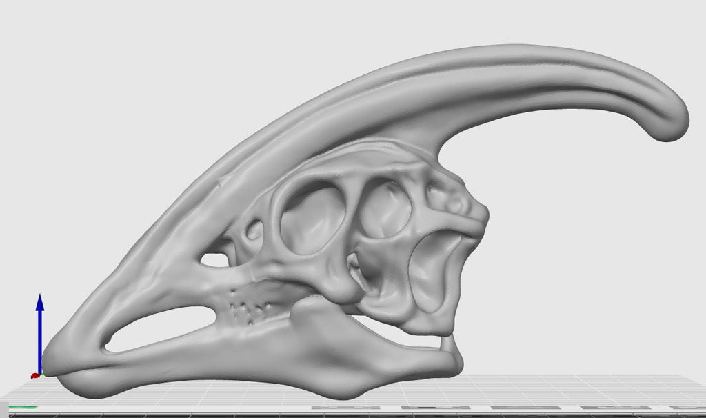 Parasaurolophus Hadrosaur Skull Replica | Fossil Decor | Cretaceous Herbivore Anatomy Model | High-Detail Paleontology Gift