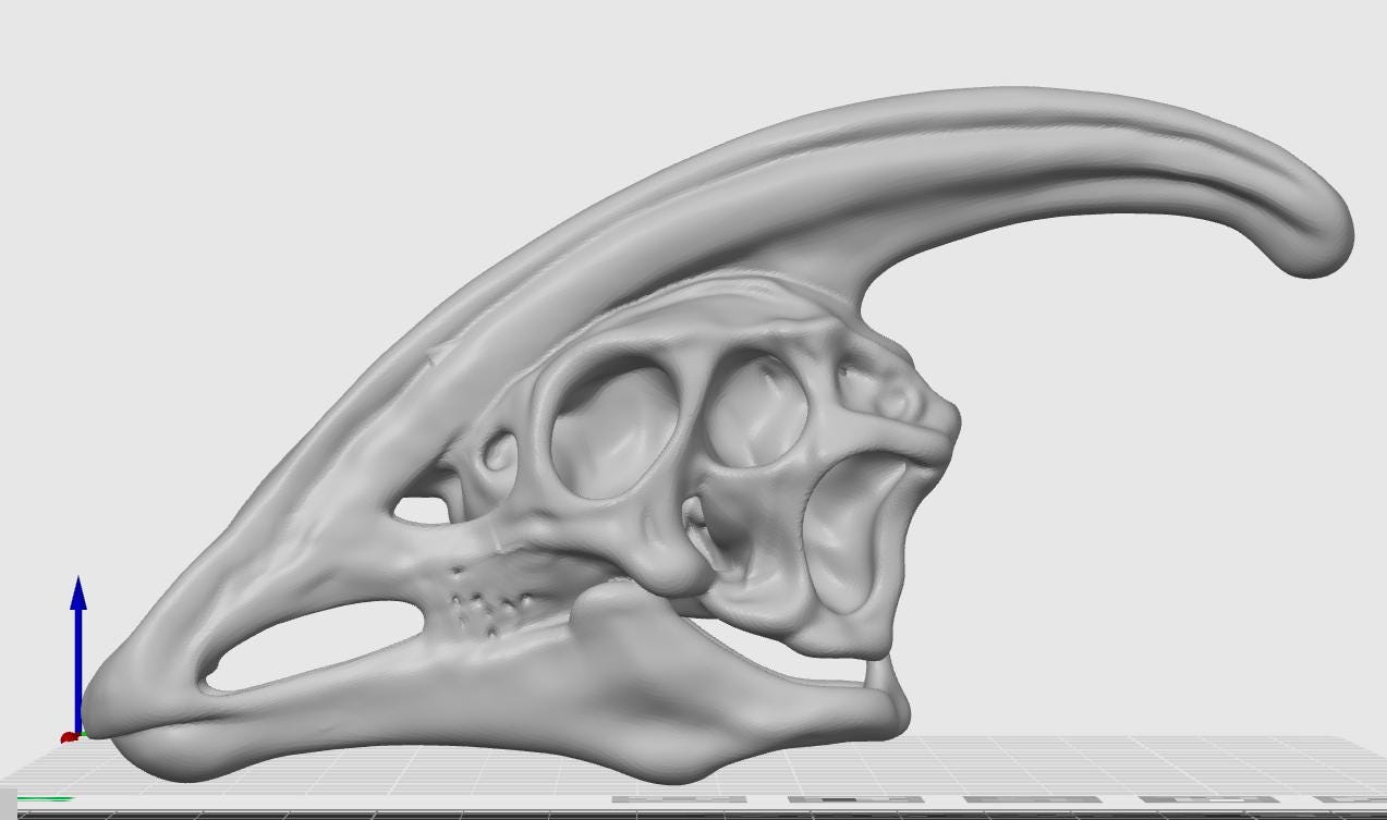 Parasaurolophus Hadrosaur Skull Replica | Fossil Decor | Cretaceous Herbivore Anatomy Model | High-Detail Paleontology Gift