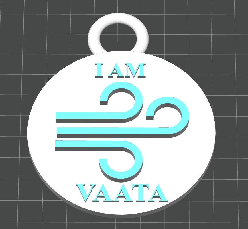 Custom Ayurvedic "Vata Prakriti" Dual-Tone Keychain | Wellness Professional ID Accessory | Personalized Dosha Personality Gift