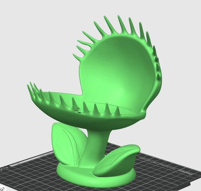 Venus Flytrap Business Card Holder | Botanical Office Decor, Desk Accessory