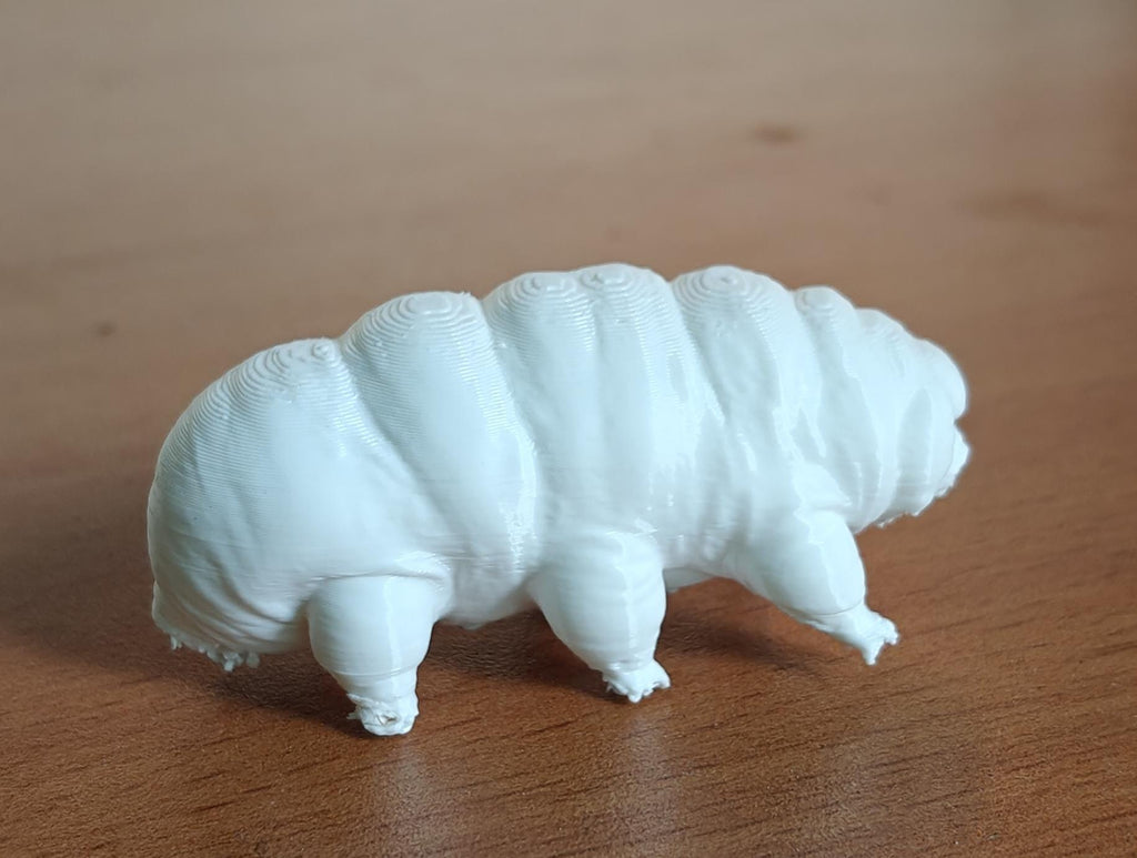 Giant Tardigrade Sculpture | Realistic Water Bear Scientific Model, 175mm Desk Art