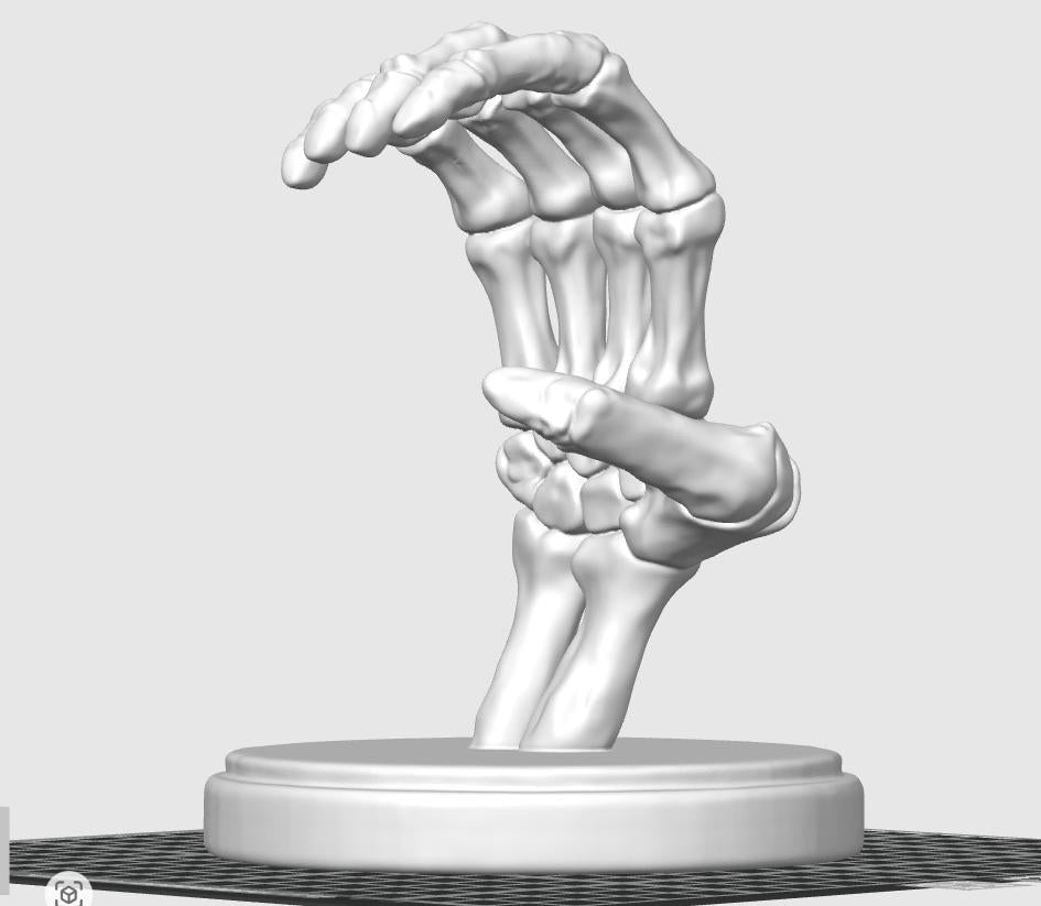 Skeleton Hand Business Card Holder | Anatomical Desk Decor, PETG/PLA+
