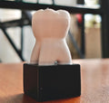 Dental Anatomy Model | Molar, Canine, Incisor, Premolar Study Aid (PLA+)