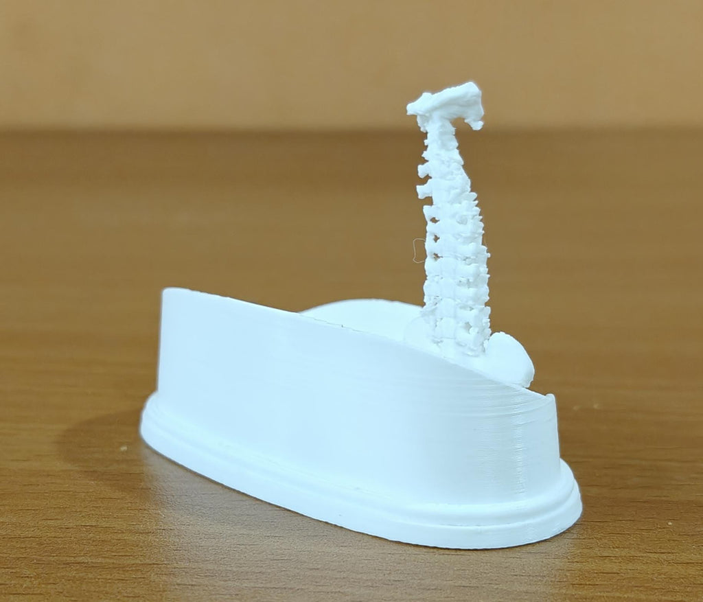 Spinal Column Business Card Holder | Chiropractor Office Decor | Spine Anatomy Desk Accessory | Orthopedic Gift