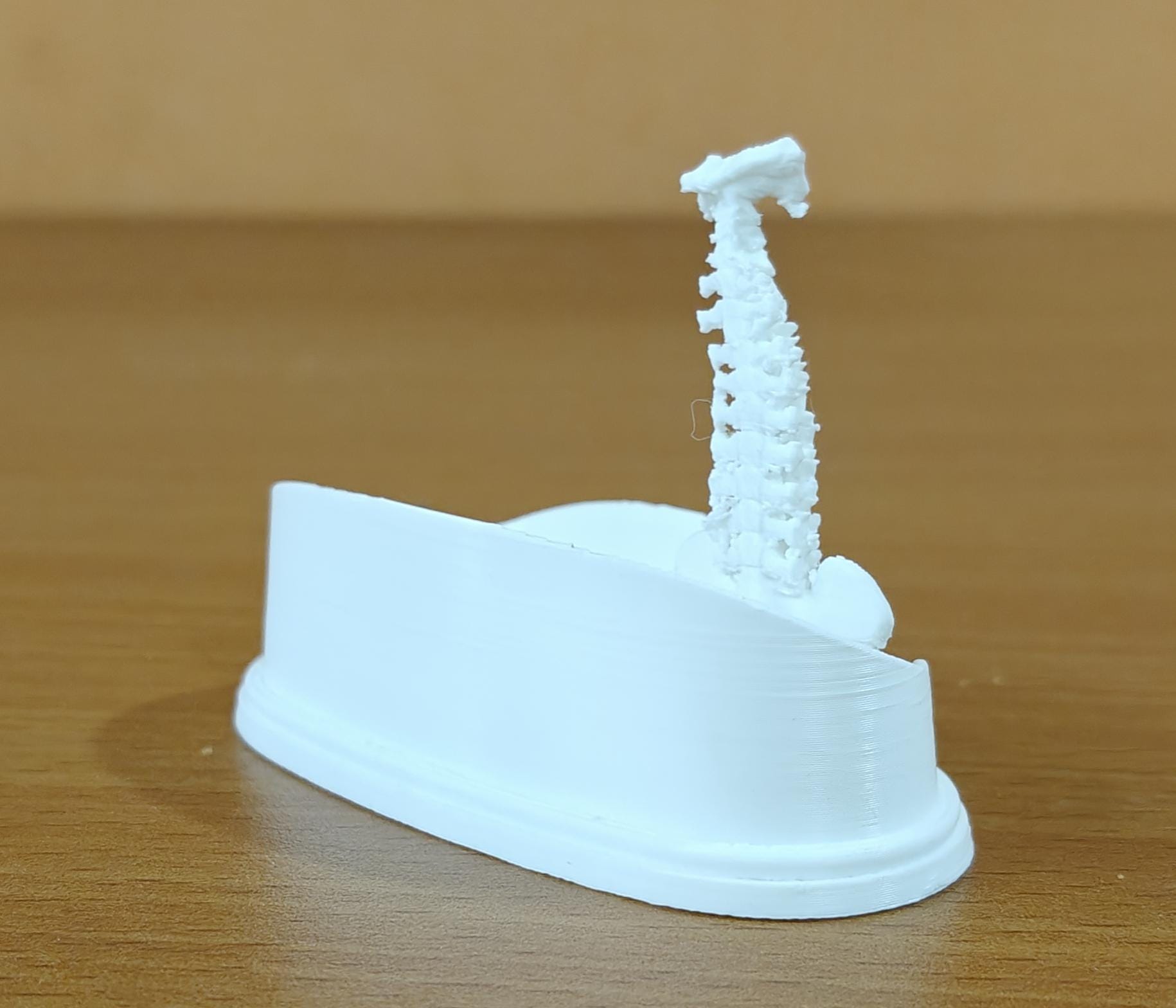 Spinal Column Business Card Holder | Chiropractor Office Decor | Spine Anatomy Desk Accessory | Orthopedic Gift