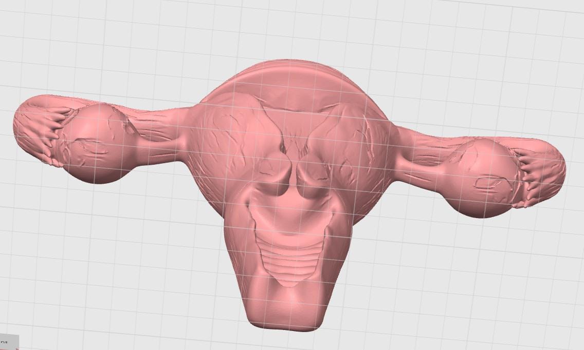 Female Reproductive System Model | Detailed Anatomy Sculpture | Women’s Health Education | Medical Student Gift