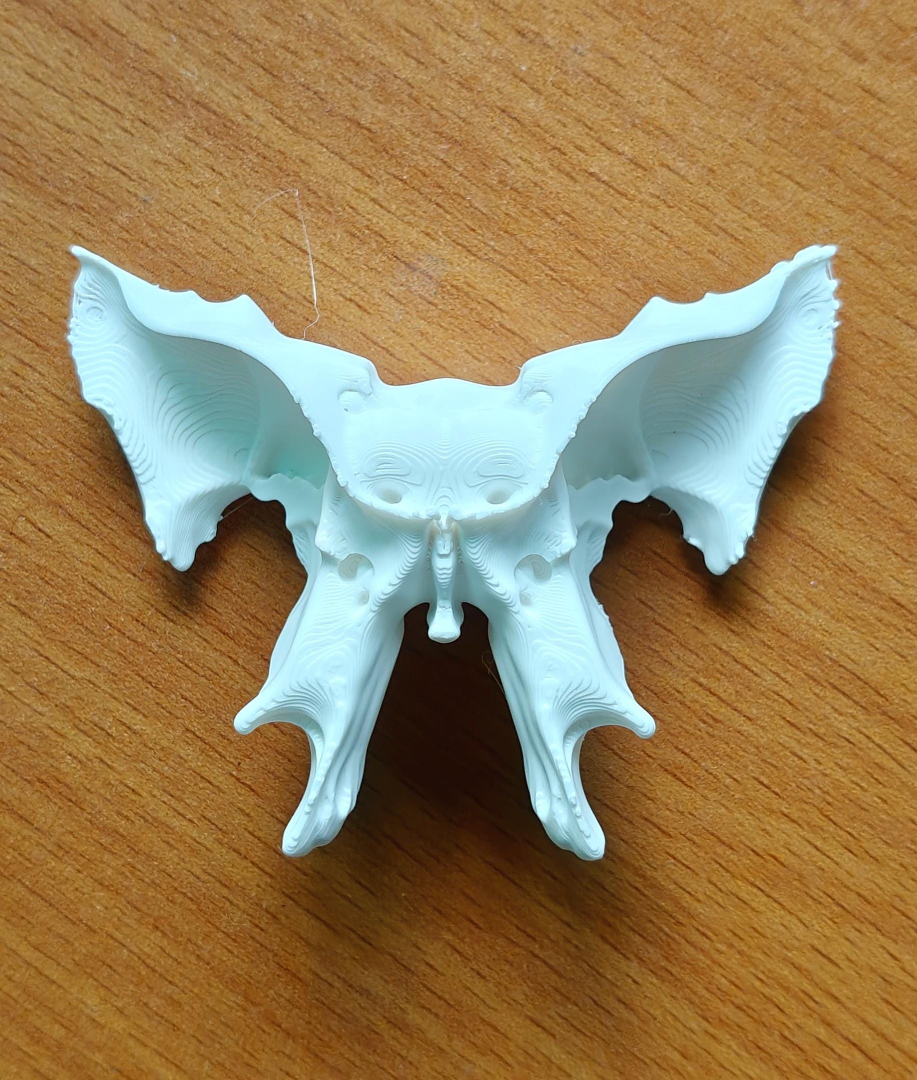 1:1 Scale Sphenoid Bone Model | Human Skull Anatomy Specimen, Medical Education Cranial Bone Study