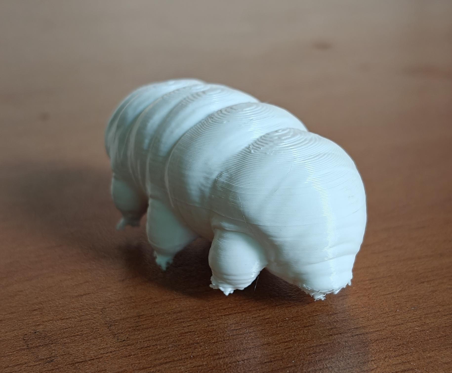 Giant Tardigrade Sculpture | Realistic Water Bear Scientific Model, 175mm Desk Art