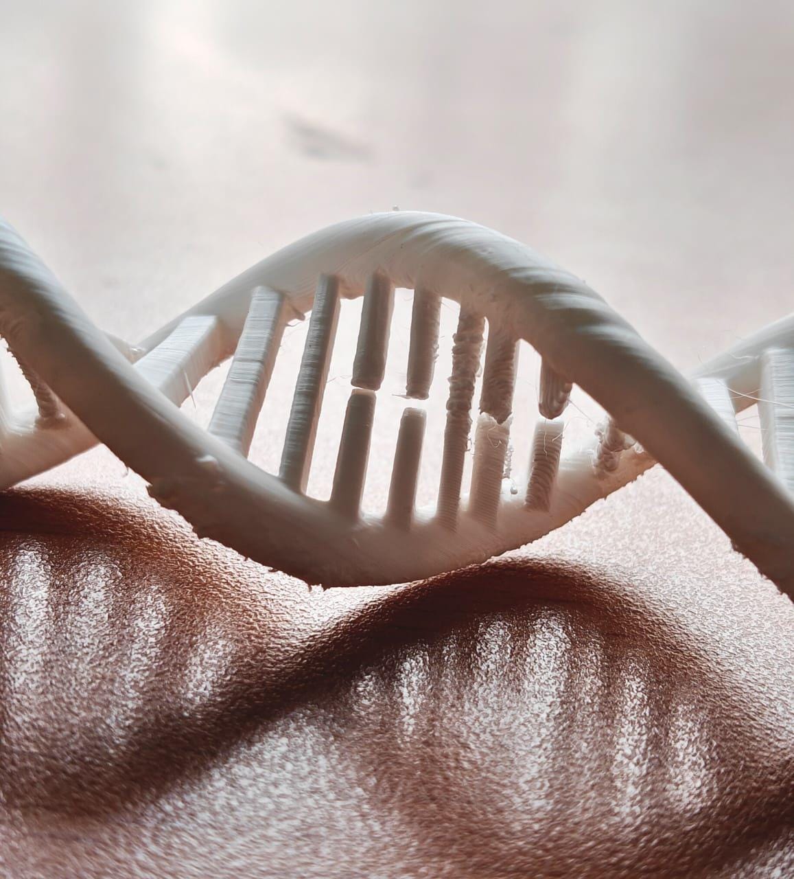 DNA Double Helix Model | Genetic Structure Sculpture | Science Lab Decor | Biology Teacher Graduation Gift