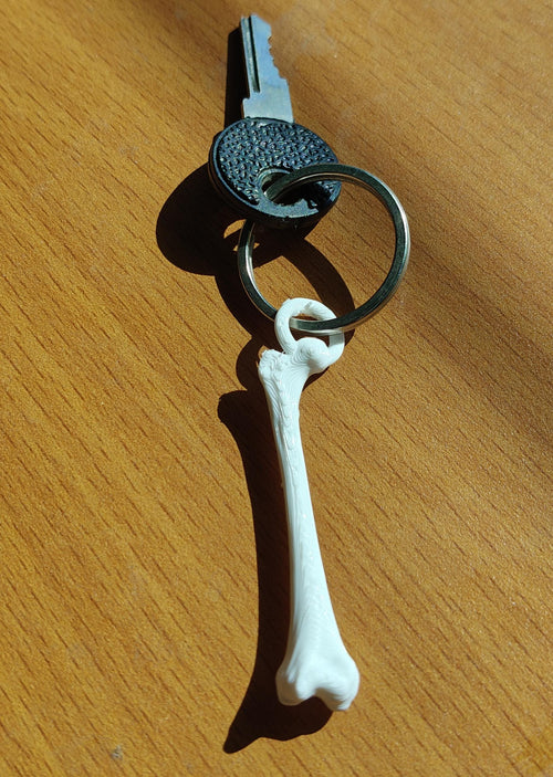 Anatomical Femur Keychain | 30mm Osteology Accessory | Medical Student & Orthopedic Gift | Lightweight Everyday Carry