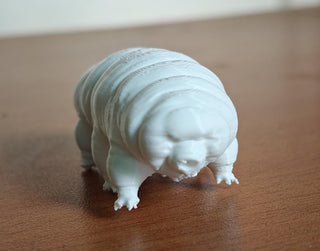 Microscopic Models