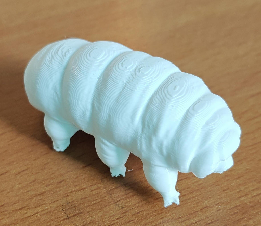 Giant Tardigrade Sculpture | Realistic Water Bear Scientific Model, 175mm Desk Art