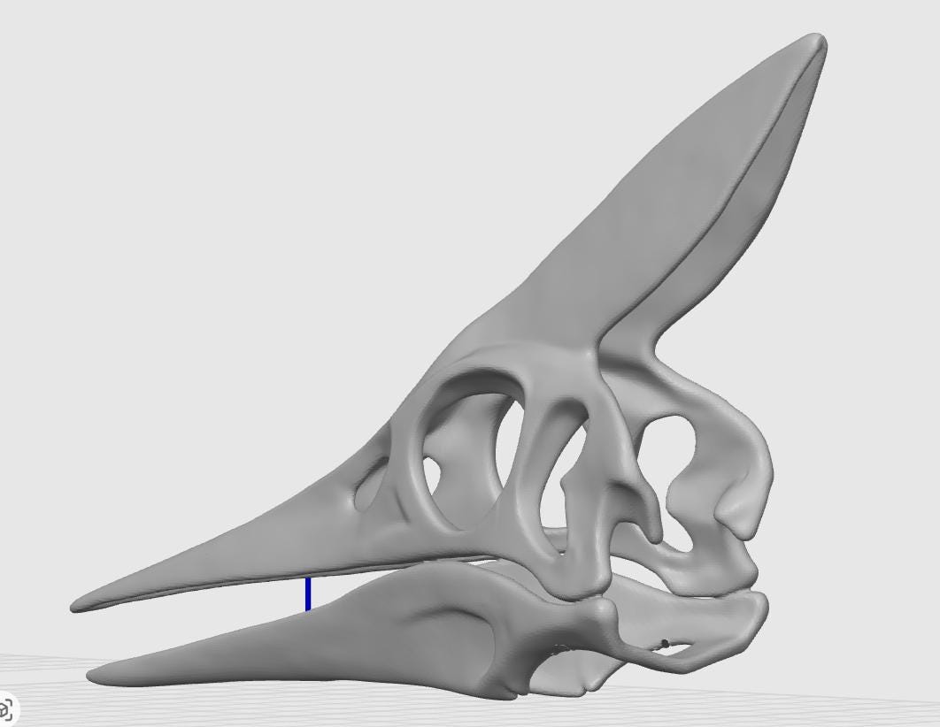 Minimalist Pteranodon Head Sculpture | Prehistoric Reptile, Museum-Style Decor
