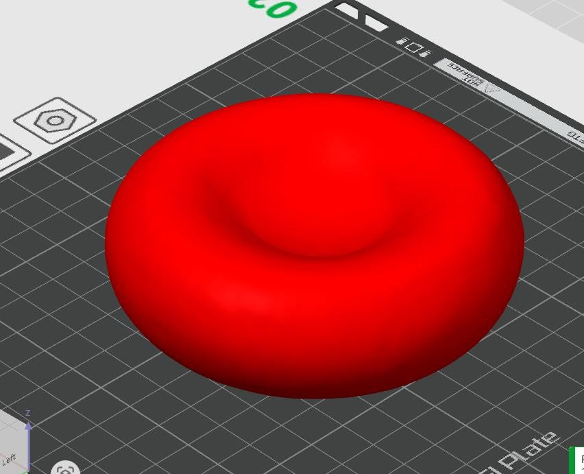 Anatomical Red Blood Cell Model | Erythrocyte Sculpture | Hematology Education Display | Professional Biology Medical Decor