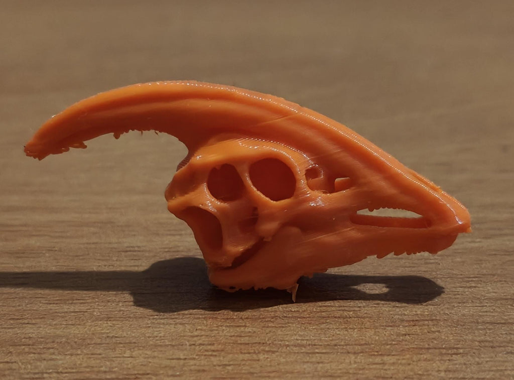 Parasaurolophus Hadrosaur Skull Replica | Fossil Decor | Cretaceous Herbivore Anatomy Model | High-Detail Paleontology Gift