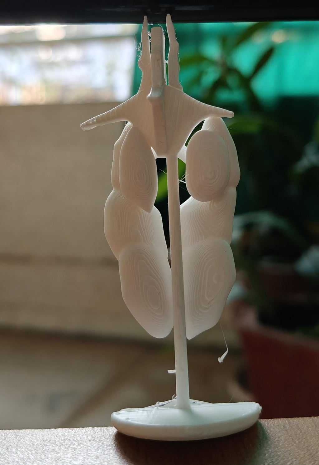 Avian Lung & Air Sac Model | Bird Respiratory System | Veterinary Teaching Tool | Ornithology Science Model