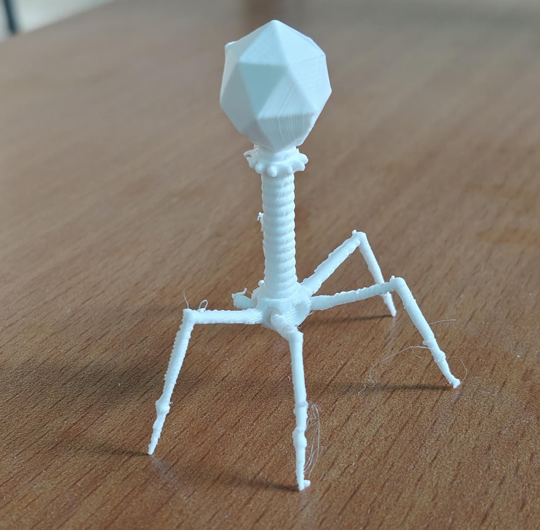 175mm Bacteriophage T4 Model | Virus Sculpture Gift