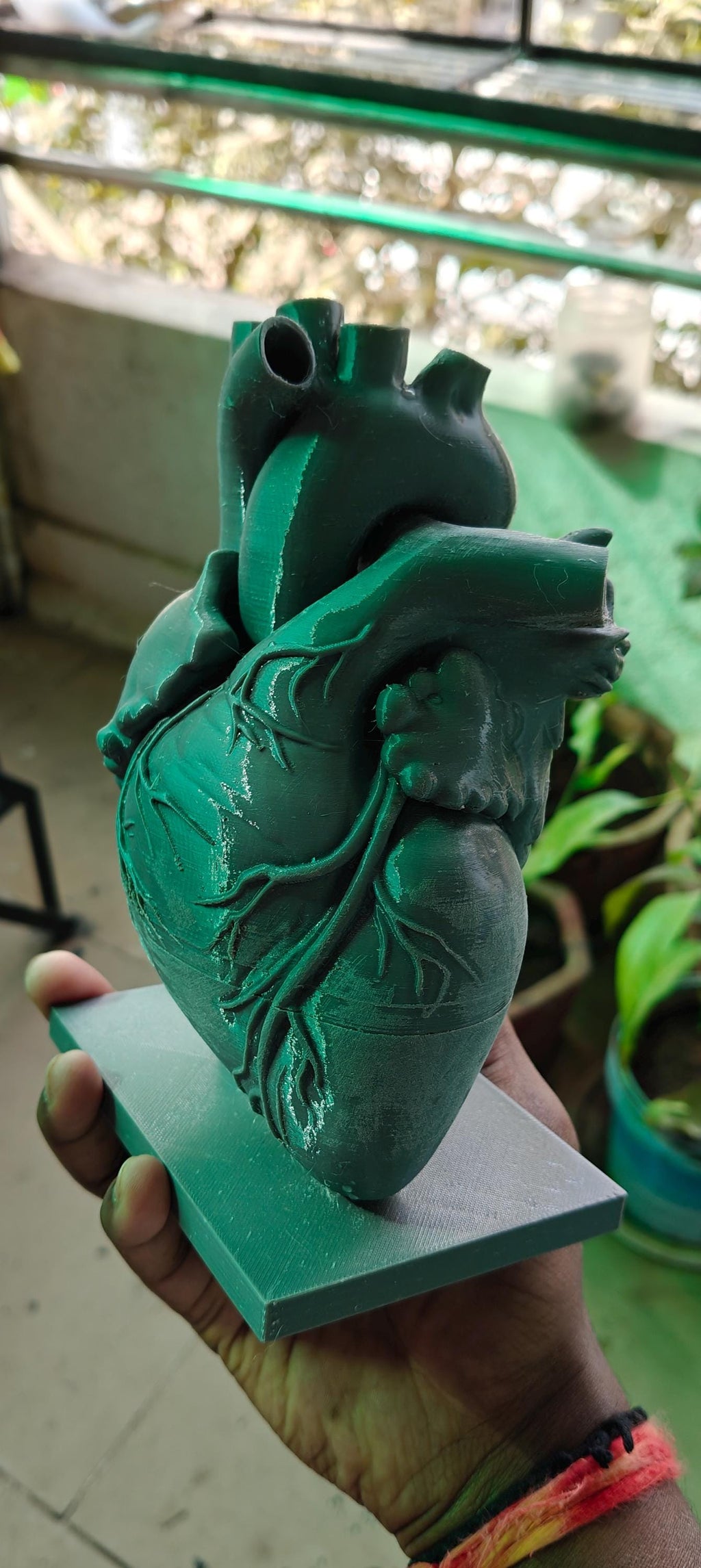 Anatomical Heart Sculpture | Realistic Medical Model Desk Decor