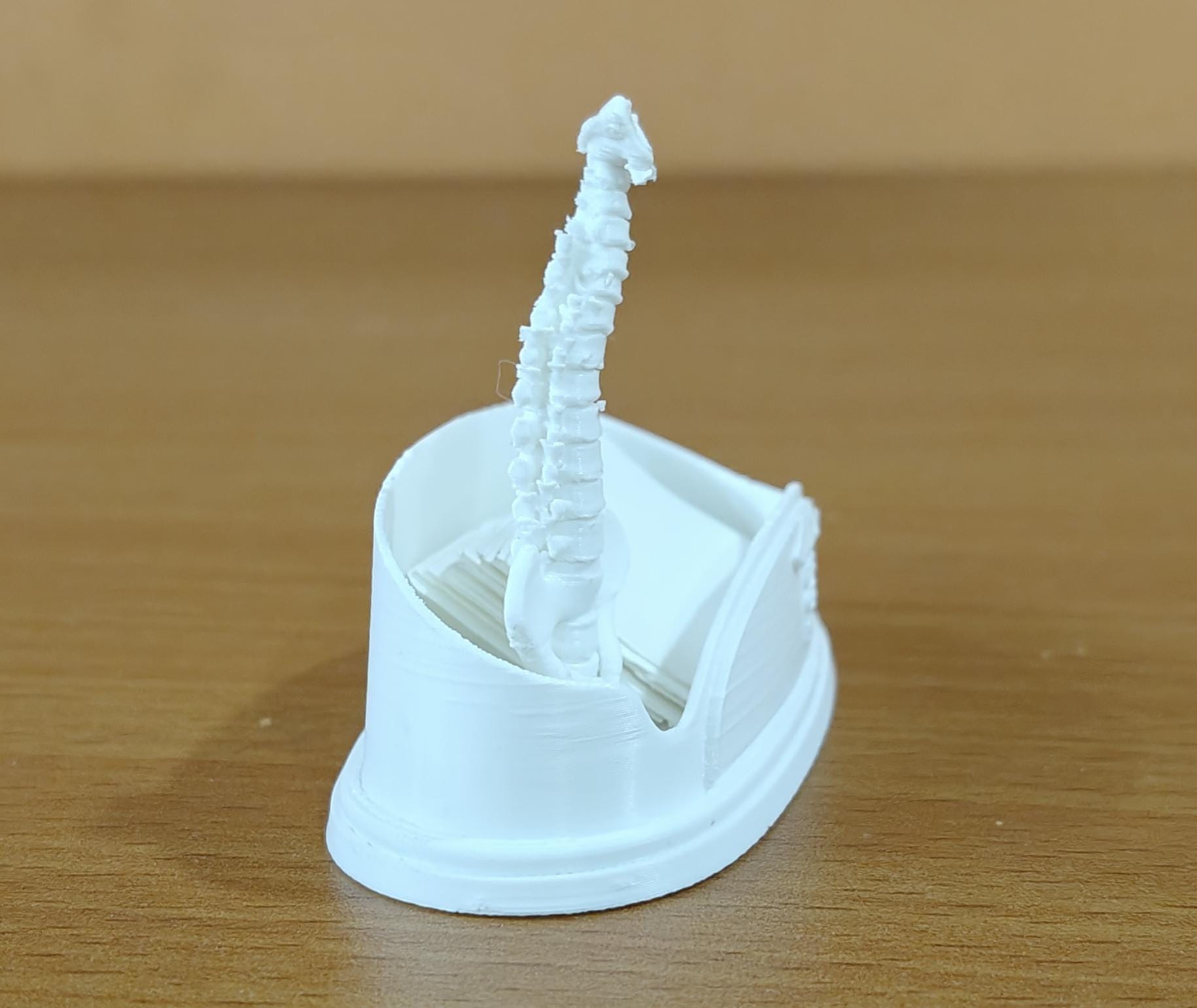 Spinal Column Business Card Holder | Chiropractor Office Decor | Spine Anatomy Desk Accessory | Orthopedic Gift