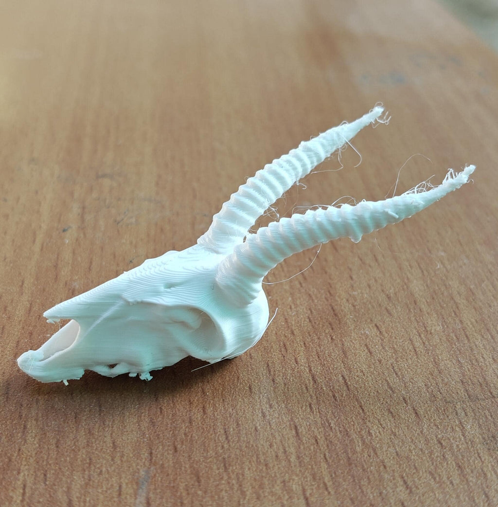 Antelope Skull Replica | Spiraled Horn African Wildlife Anatomy Display (170mm)
