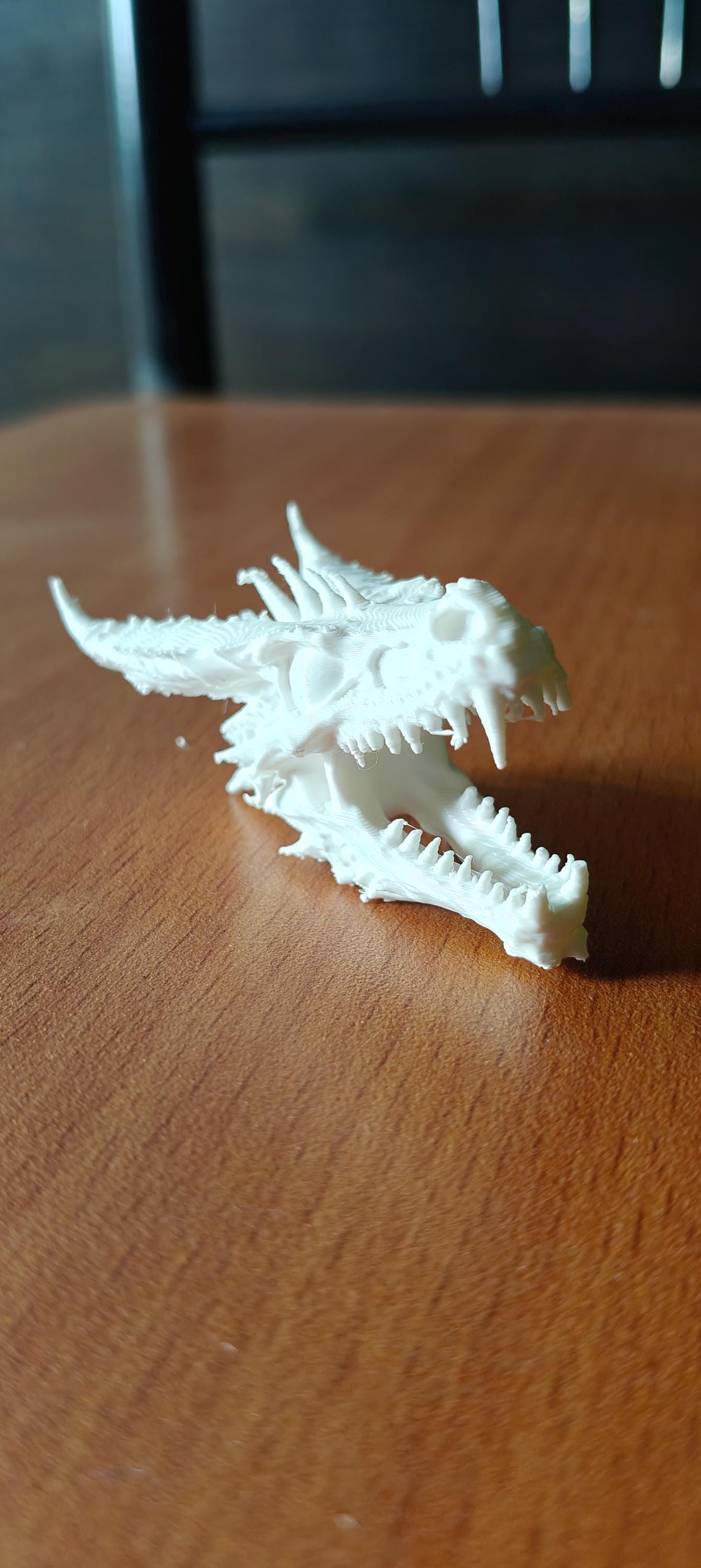 Anatomical Dragon Skull Fossil | Dragon Bone Desk Decor | D&D Fantasy Prop | Mythical Creature Skeleton