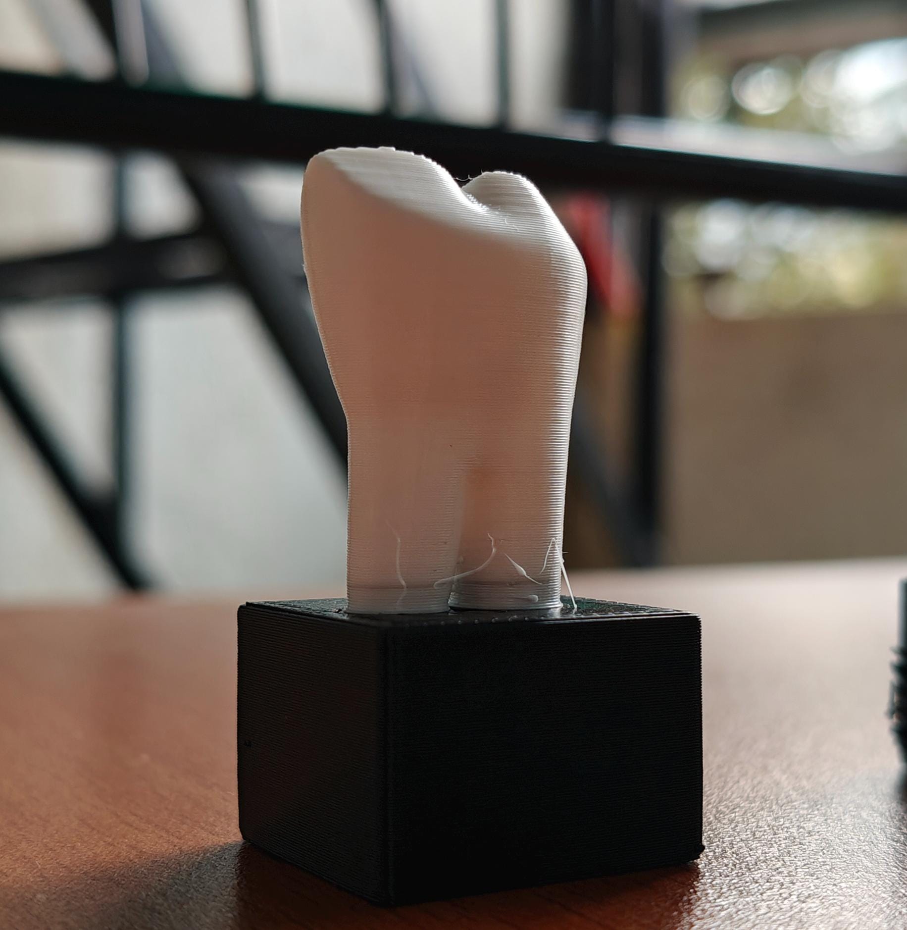 Dental Anatomy Model | Molar, Canine, Incisor, Premolar Study Aid (PLA+)