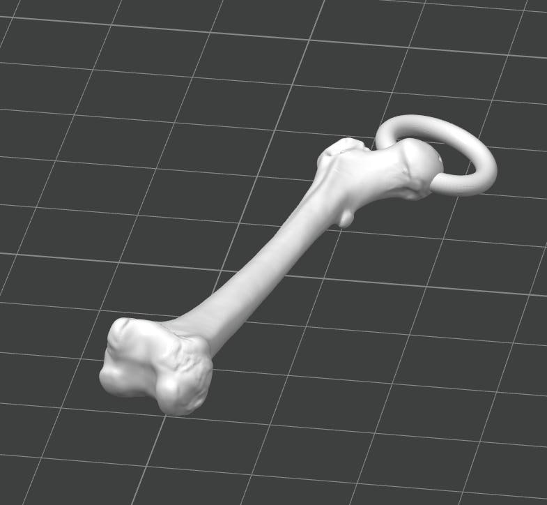 Anatomical Femur Keychain | 30mm Osteology Accessory | Medical Student & Orthopedic Gift | Lightweight Everyday Carry